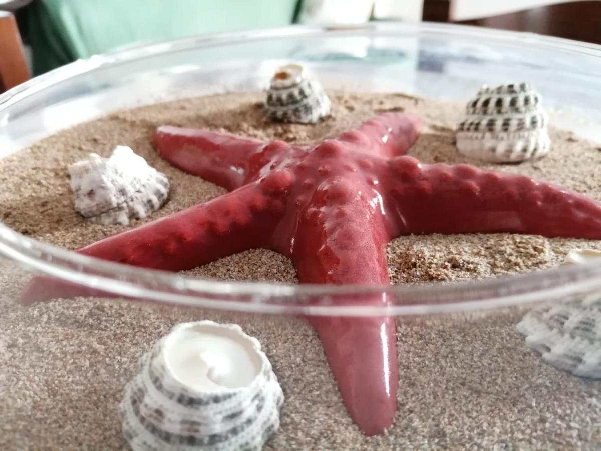 Casa Amaranto Apartman Terrasini Kültér fotó